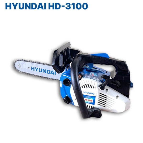 HD-3100